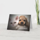 Buscar amigos del perro y gato tarjetas Perrito
