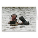 Buscar hippopotamus postales Fauna