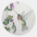 Buscar colibri pegatinas Para ella