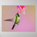 Buscar fuchsia arte Naturaleza