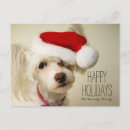 Buscar crest tarjetas Ninguna gente