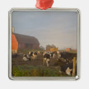 Buscar holstein adornos Ganado