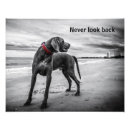 Buscar perro blanco y negro posters Animal