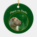 Buscar shar pei adornos Perro