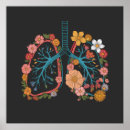 Buscar pulmones posters Médica