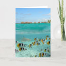 Buscar polinesia tarjetas Pacífico