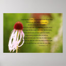 Buscar soplo posters General y unisex