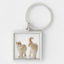 Buscar integral llaveros Tiro del estudio