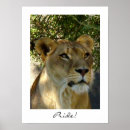 Buscar leones posters León