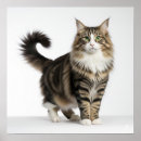 Buscar noruega arte Animal