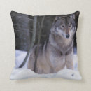 Buscar américa cojines Bosque