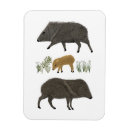 Buscar arizona imanes Animales