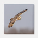 Buscar lechuga imanes Raptor
