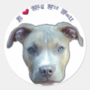 Buscar pitbull pegatinas Apbt