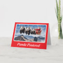 Buscar oso panda tarjetas General y unisex