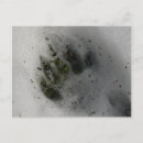 Buscar huella negra postales General y unisex