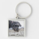 Buscar tristeza llaveros Parte del cuerpo animal