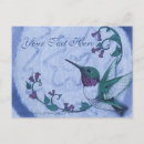 Buscar hummingbird postales Animal