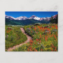 Buscar wildflower postales Pradera