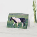 Buscar utah tarjetas Caballos salvajes de utah