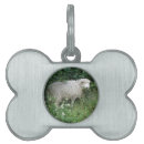 Buscar oveja mascotas 6 º oveja