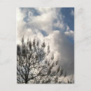 Buscar día nublado postales Cielos