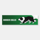 Buscar border collie pegatinas parachoque Perro