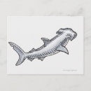 Buscar shark postales Ilustracion