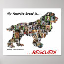 Buscar preferido posters Perro