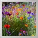 Buscar amapolas azules posters Floral