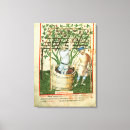 Buscar uvas lienzos Viticultura