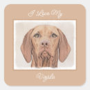 Buscar vizsla pegatinas Húngaro