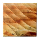 Buscar fósiles azulejos Paisaje