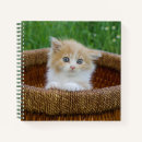 Buscar pet libretas Domestic animals