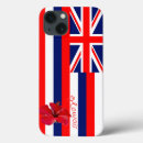 Buscar isla grande electronica Hawaiano