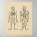 Buscar medicina alternativa posters Acupuntura