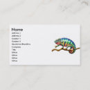 Buscar lagartos tarjetas de visita Herpetología
