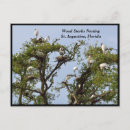 Buscar madera postales General y unisex