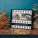 Buscar gato negro placas fotograbadas 9 º gata