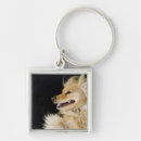 Buscar dientes animales llaveros Perro