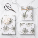 Buscar araña papel de regalo Para niños