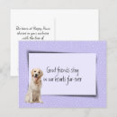 Buscar mascotas tarjetas codolencias Perro