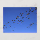 Buscar símbolos sagrados postales Celta