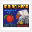Buscar cabeza india pegatinas Indio