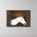 Buscar costa del sol lienzos Horizontal