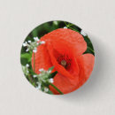 Buscar amapolas chapas Verano