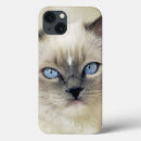 Buscar gatitos ipad fundas Lindo