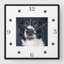 Buscar dog relojes de pared Black and white