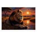 Buscar selva africana posters Rey de la selva