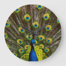Buscar peacock relojes de pared Animal
